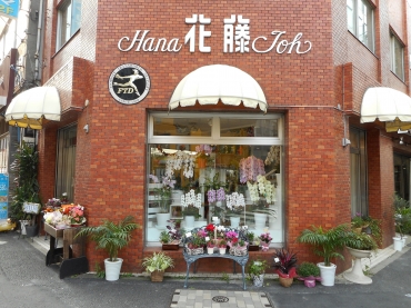 「花藤」　（東京都中央区）の花屋店舗写真1